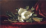 Martin Johnson Heade Famous Paintings - The Magnolia Blossom